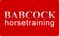 Babcock horse training